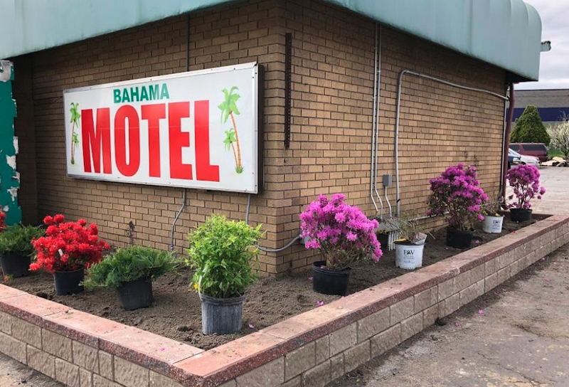 Bahama Motel - From Website